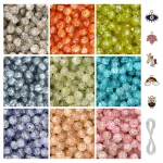 5 Pcs Charms + 250 Pcs Single Shade Sparkle Glass Beads for Bracelet Making Kit