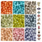 10 Pcs Charms + 250 Pcs Single Shade Sparkle Glass Beads for Bracelet Making Kit