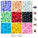5 Pcs Charms + 250 Pcs Jelly Glass Beads for Bracelet Making Kit