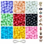 10 Pcs Charms + 250 Pcs Jelly Glass Beads for Bracelet Making Kit
