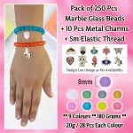 10 Pcs Charms + 250 Pcs Matt Glass Beads for Bracelet Making Kit - Image 2