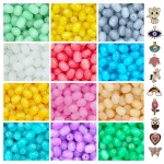 10 Pcs Charms + 215 Pcs Cylinder Glass Beads for Bracelet Making Kit