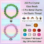 5 Pcs Charms + 250 Pcs Crystal Glass Beads for Bracelet Making Kit - Image 2