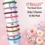 5 Pcs Charms + 250 Pcs Crystal Glass Beads for Bracelet Making Kit - Image 4