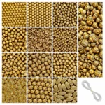 REGLET 340 Pcs Golden Antique Beads Kit with 12 Vintage-Inspired Designs, Assorted 8mm–22mm Sizes, 280g and 5 Metres Elastic Thread